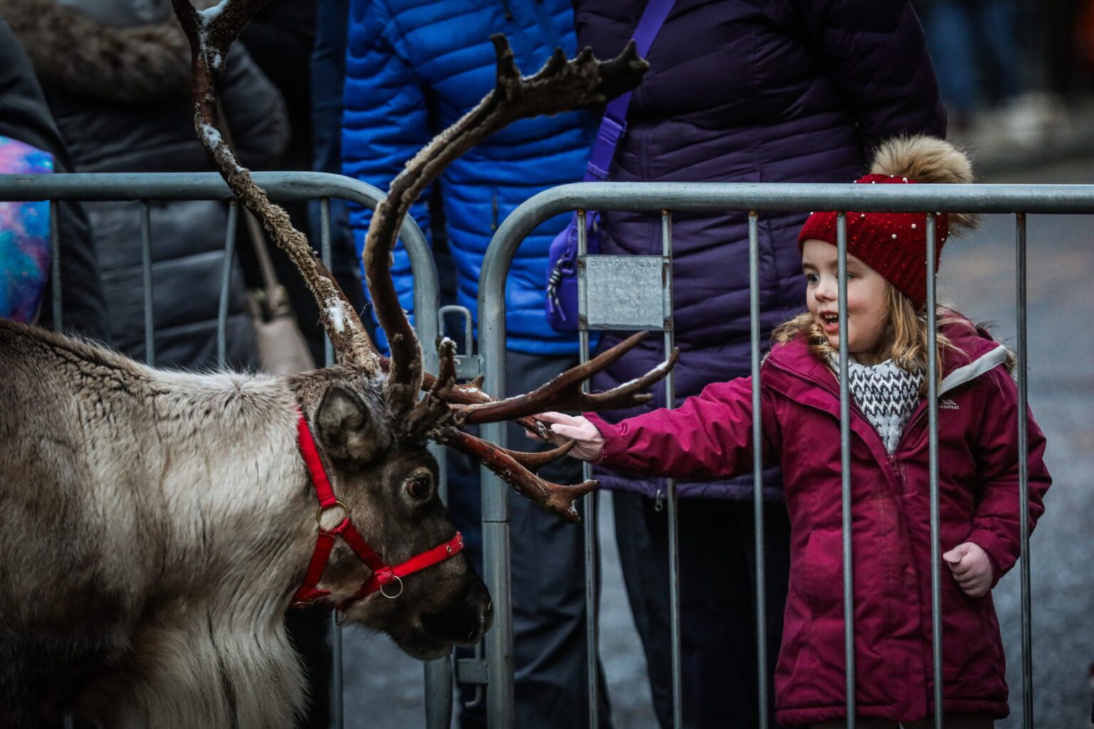 Best pictures from Perth's Christmas lights switchon 2023