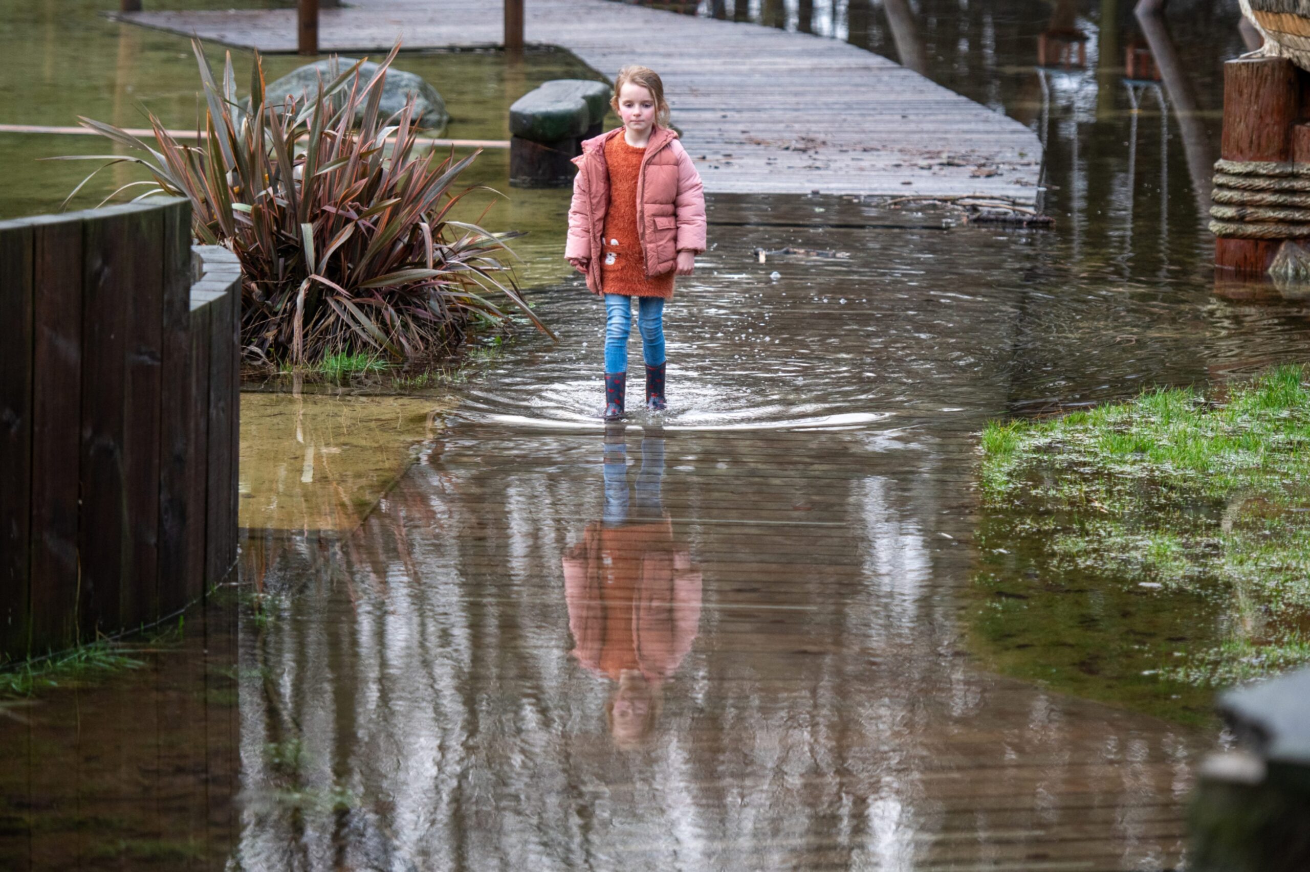 Clionadh Mulholland, 6, wore appropriate footwear during her visit to the flooded area of the play park at Camperdown Park, Dundee, 03rd January 2024.