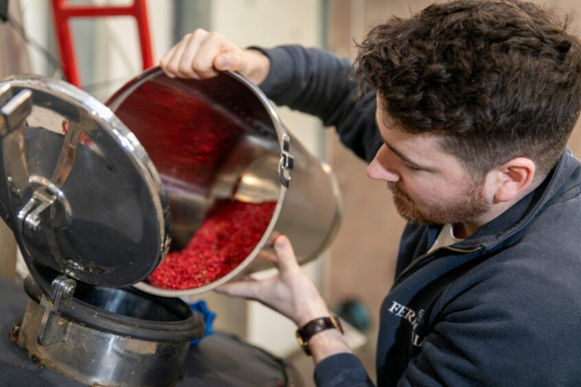 Gregor pours pink peppercorns into the still to create alcohol free Feragaia. 