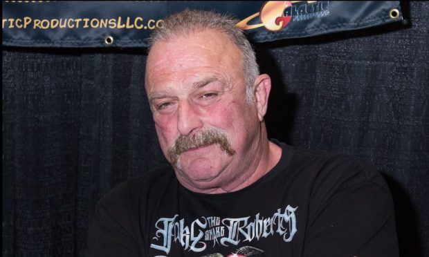 Wrestler Jake 'The Snake' Roberts.