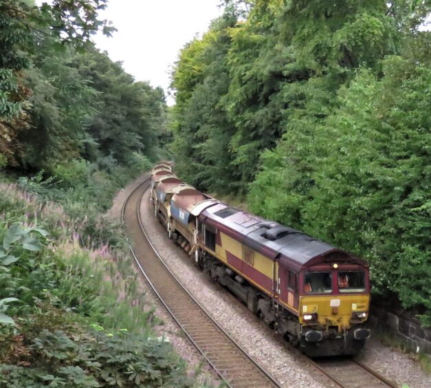 66103 hauling wagons with trees on either side of the track