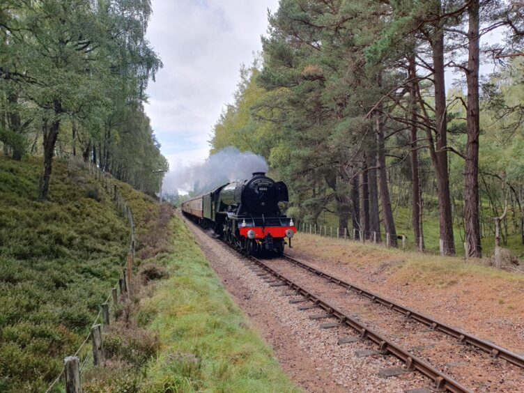 Timon Rose took this image of the famous locomotive Flying Scotsman, on a rural, tree-lined track