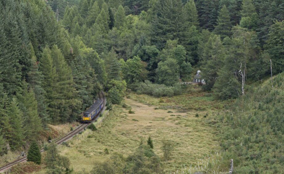 Mike Cooper's photo of DMU 140022 south of Loch Park on the Keith and Dufftown Railway on September 24 took first place in the competition. The picture shows a home partially hidden by trees and a train emerging from the woods.