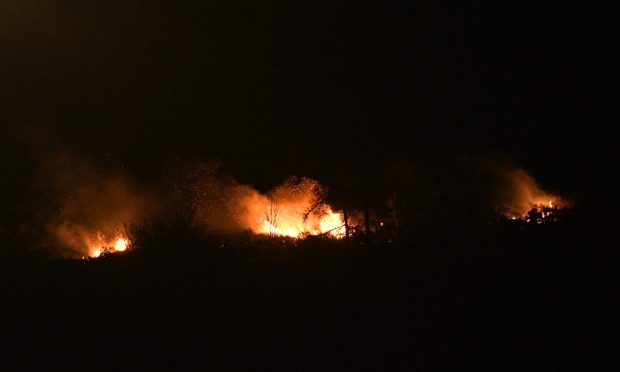 Four appliances were sent to tackle the blaze. Image: Stuart Cowper.