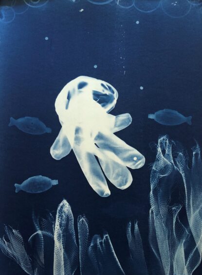 Image shows a cyanotype created by Eco-Trash artist Cat Coulter. 