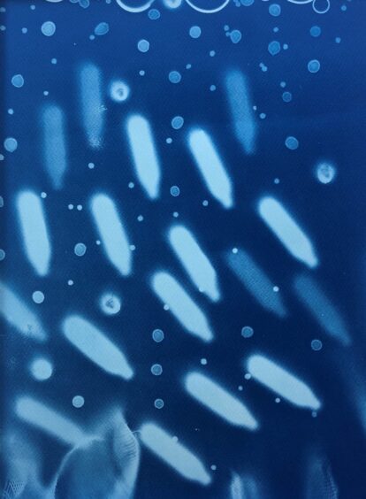 Image shows Undercurrent by Cat Coulter. The cyanotype print was selected for exhibition by Tracey Emin. 