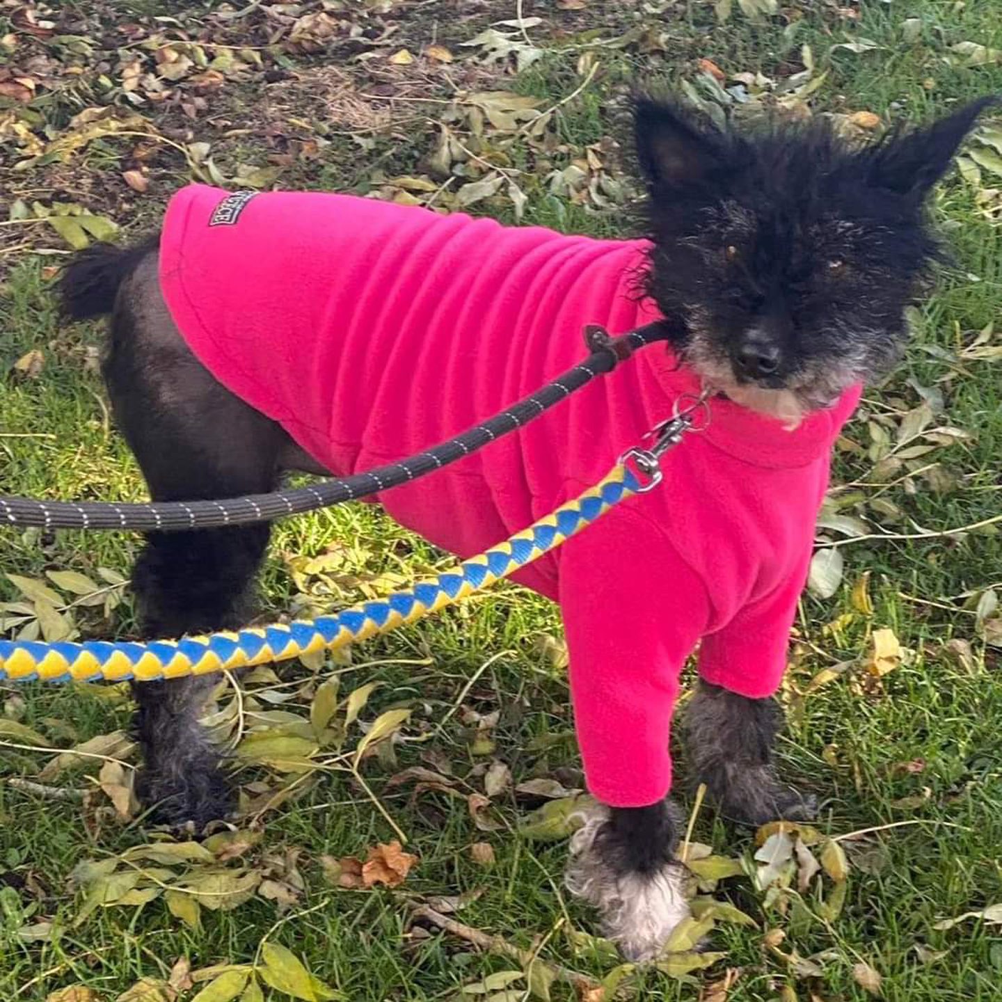 Sharleen out on a walk in a pink jumper.