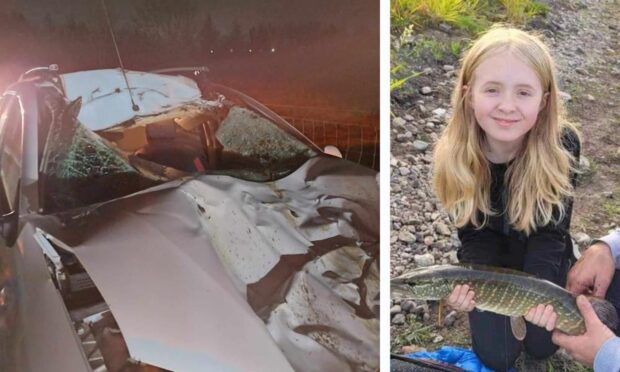 Teen (Cody Gibson) feared dead after crash between car and cow in Fife