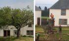 Cherry blossom tree in Alyth before and after removal.