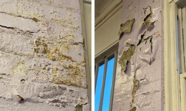 A mum spotted 'mould' covering the walls at St Mary's Primary School in Dundee. Image: Supplied