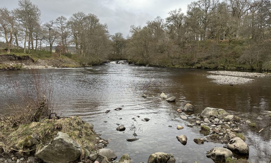 Trees surround the natural swimming pool near Kerryfearn. 