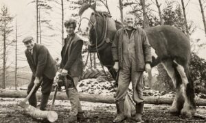 Melville Ross with his Clydesdale Mary-Ann and workers, Chic Geddes and Sandy Boag.