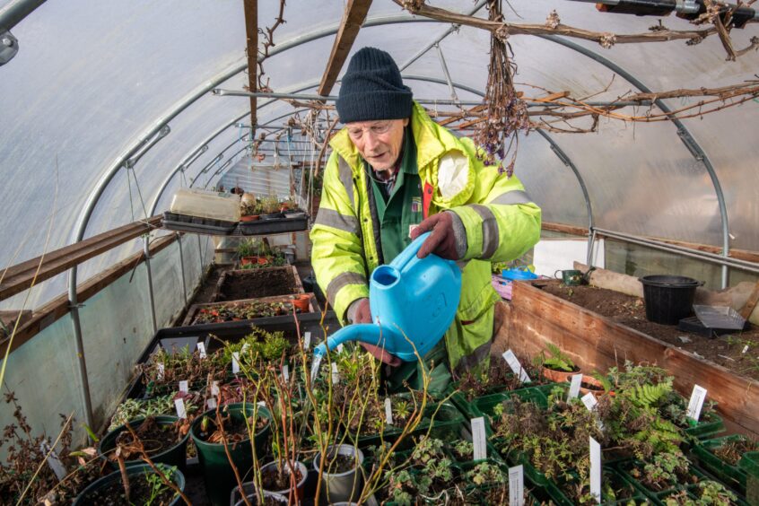 The polytunnel at Ninewells Community Garden.