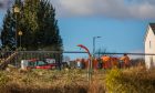 Tree clearing from Buckie Braes, Perth, as part of the work to build an Aldi in the city.