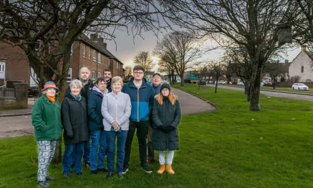 Some of those campaigning to save the Methilhaven Road trees