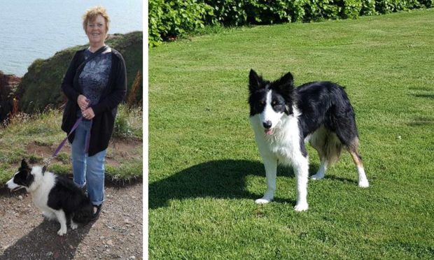 Anne Baker, 75, and her dog, Missy, who has died after being attacked while on a walk near Elie. Image: Supplied