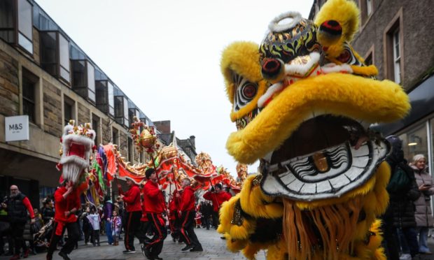 A dragon in the parade.