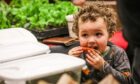 Rowan Jack, 3, nibbles on a home grown carrot from his dad's stall. Image: Mhairi Edwards/DC Thomson