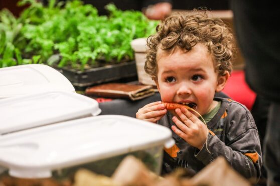 Rowan Jack, 3, nibbles on a home grown carrot from his dad's stall. Image: Mhairi Edwards/DC Thomson