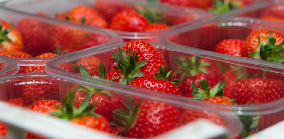 AVA strawberries from Angus Soft Fruits.