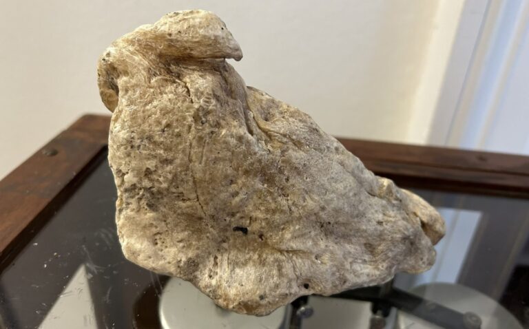 Kirkcaldy veteran finds ambergris 'worth five-figure sum'