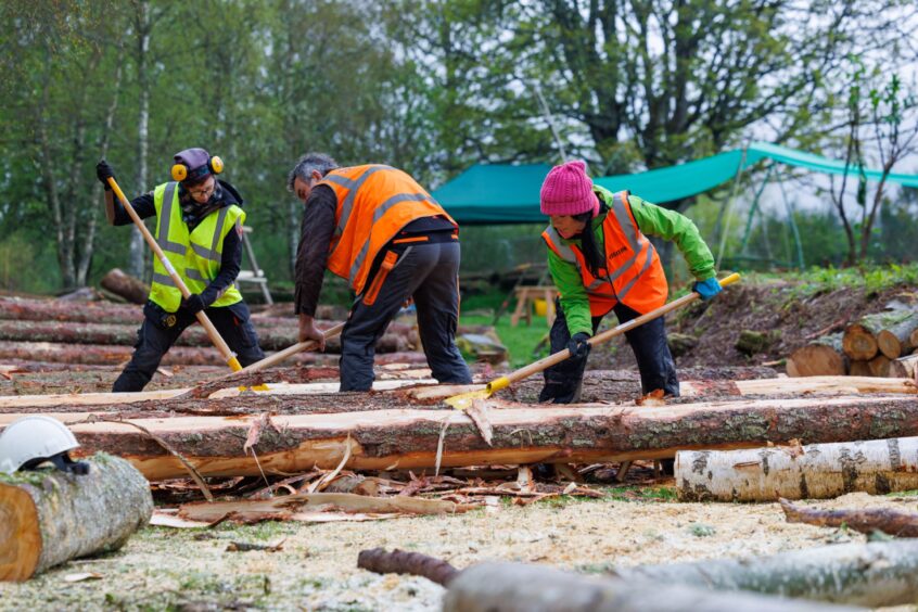 Gayle helps woodworkers to debark logs at the Scottish Crannog Centre. 