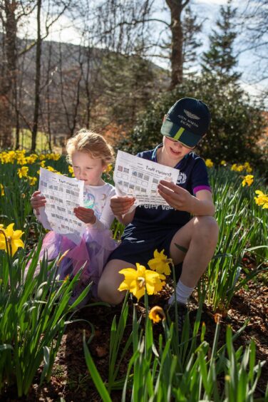 Children Grace and Christopher Tarver looking at clue sheet in field of daffodils