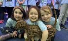 Audrey McLeod, Oriana Austin and Verity McMillan with one of the Rubber Chicken Theatre company's willow animals. Image: Pamela Mackie.