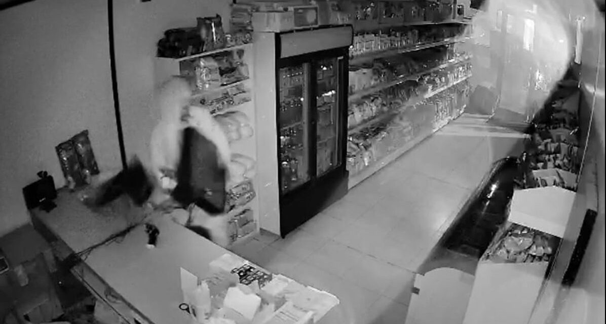 A thief grabbing an item from the counter on CCTV footage