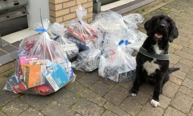 A sniffer dog helped find the illegal products.