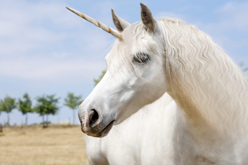 White horse with horn on head, in style of unicorn