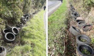 The 47 tyres were illegally dumped by the roadside near Blairhall.