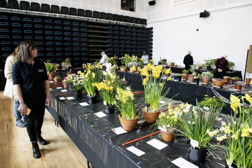 People walking past long tables covered in flowers in pots