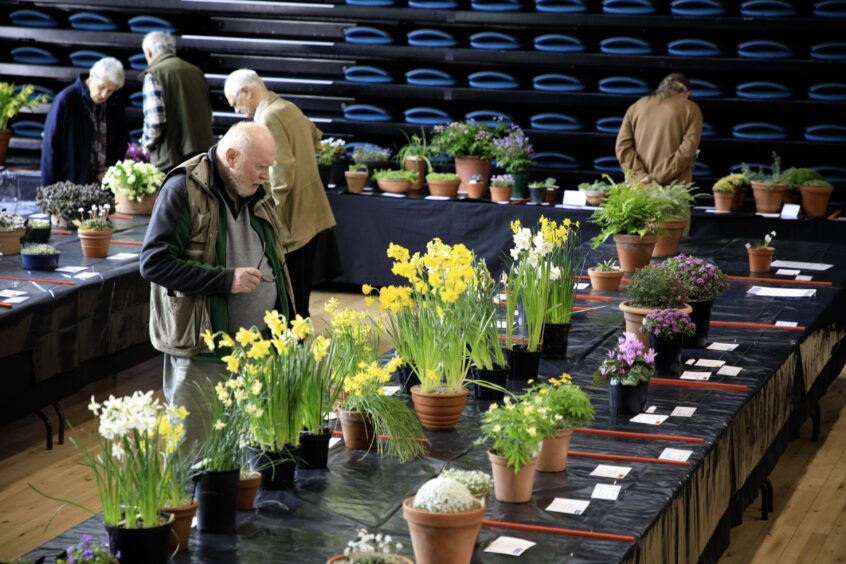 People looking at tables laden with flowers at the show in Perth