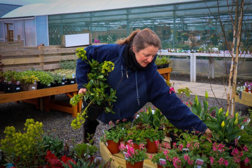 Ashbrook Nursery near Arbroath has expanded its offering to visitors.