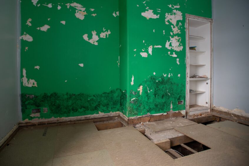 Black mould of the walls of June Soutar's Brechin home - as a result of Storm Babet. Image: Kim Cessford.