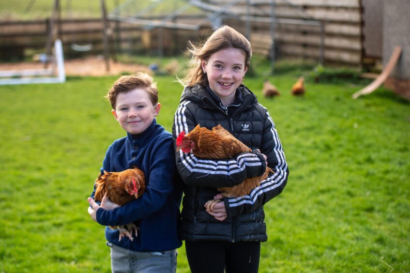 Callan and Cora McConnell with some of the free range hens at Fossoway Stables. Image: Kim Cessford/DC Thomson