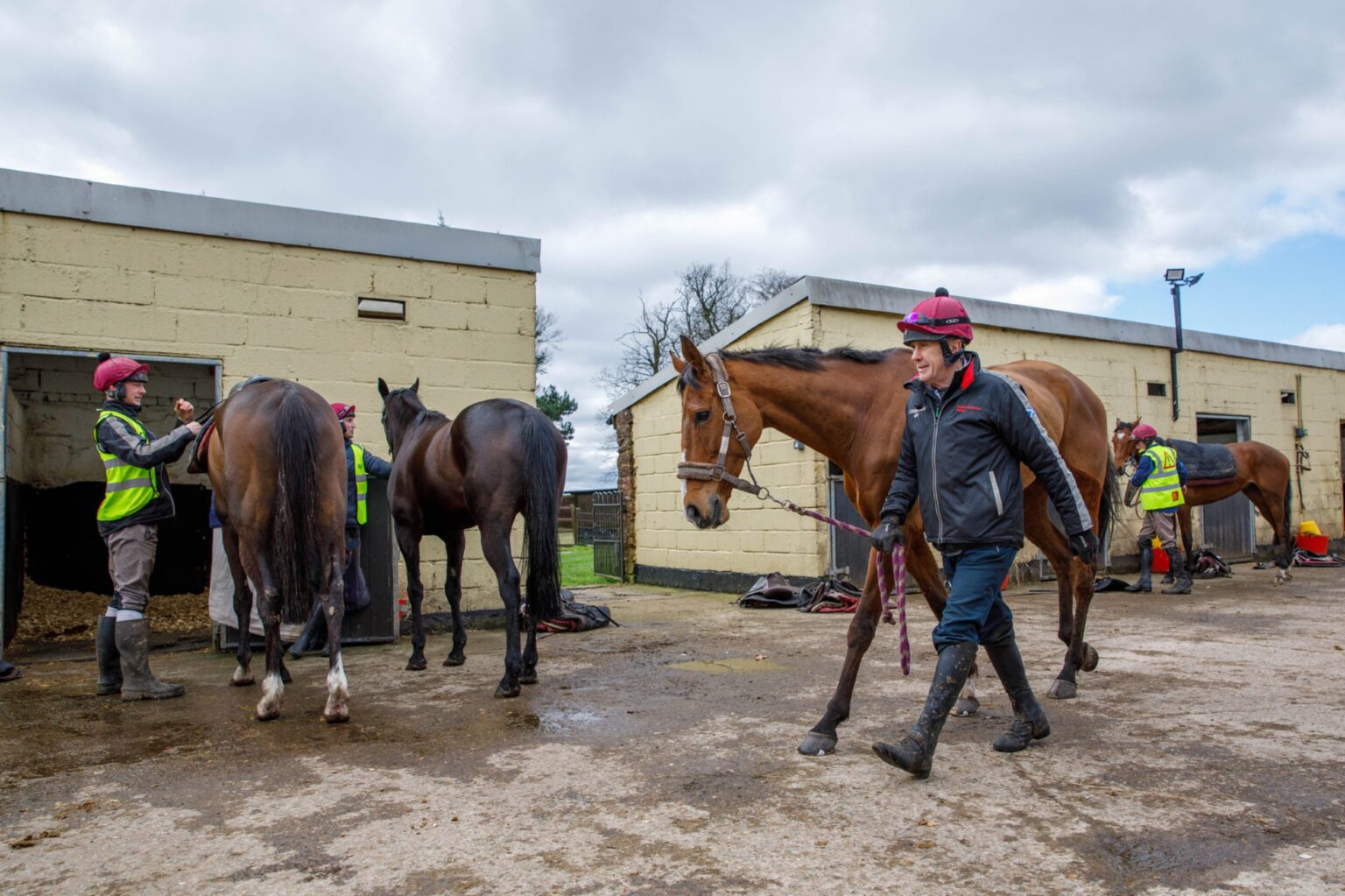 My day at Lucinda Russell's Kinrossshire horse yard