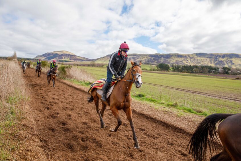 Peter Scudamore runs Corach Rambler at the gallops.