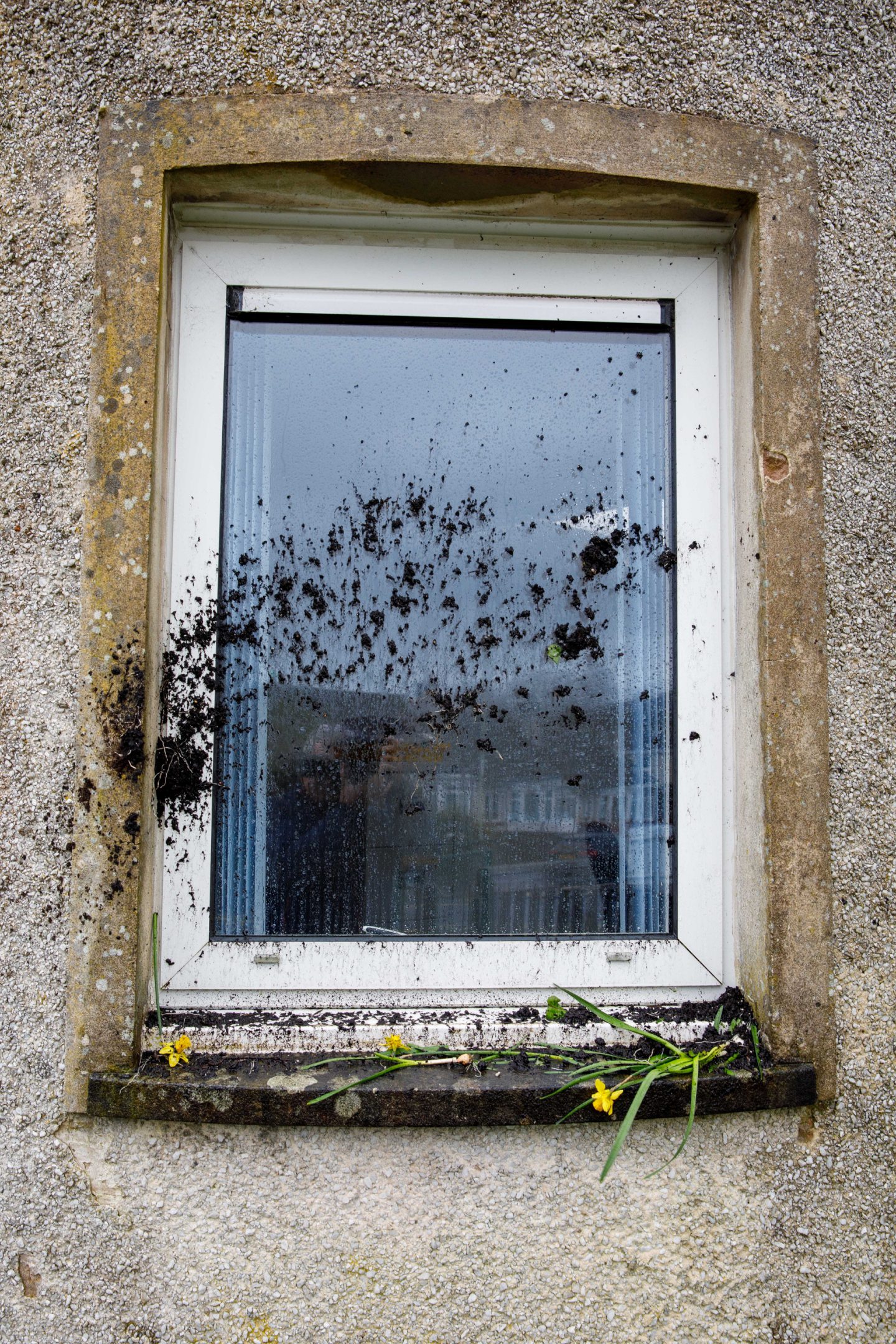 A plant was thrown at one of the windows.