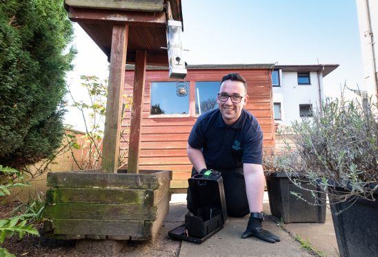 Alex Whelan puts measures in place to try and prevent rats from returning to a garden in Monifieth.