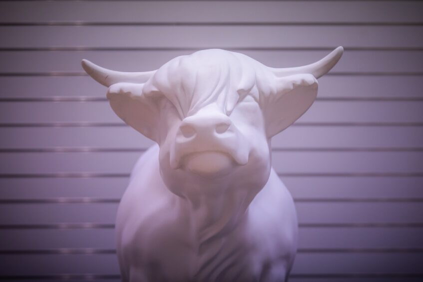 Unpainted white Highland cow sculpture