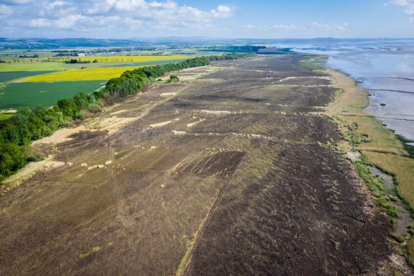 Aerial photo of charred reed beds beside River Tay near Errol.