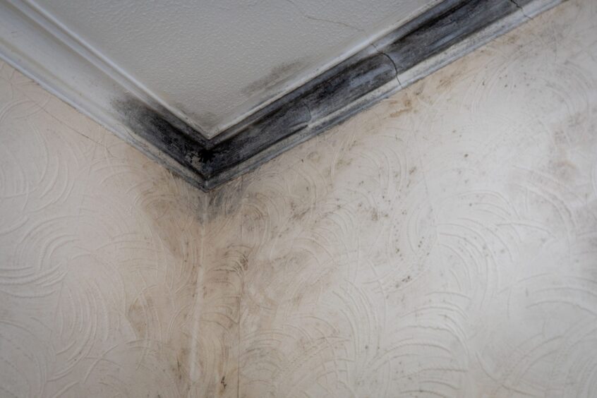 Damp on the walls and ceiling at the Methil property.
