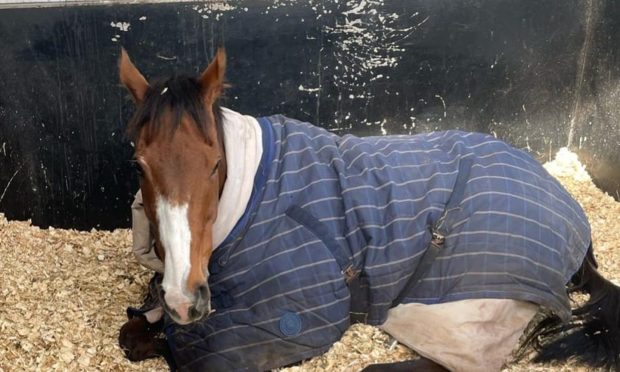 Corach Rambler safely home after Grand National disappointment