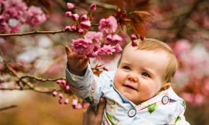 One year old Olivia Anderson enjoying the cherry blossom. Image: Mhairi Edwards/DC Thomson