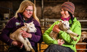 Farmer Louise Nicoll and writer Gayle Ritchie with some of Newton Farm's newborn lambs.