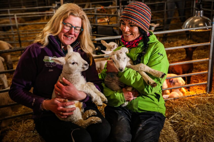 Farmer Louise Nicoll with Gayle and some cute lambs. Image: Mhairi Edwards.