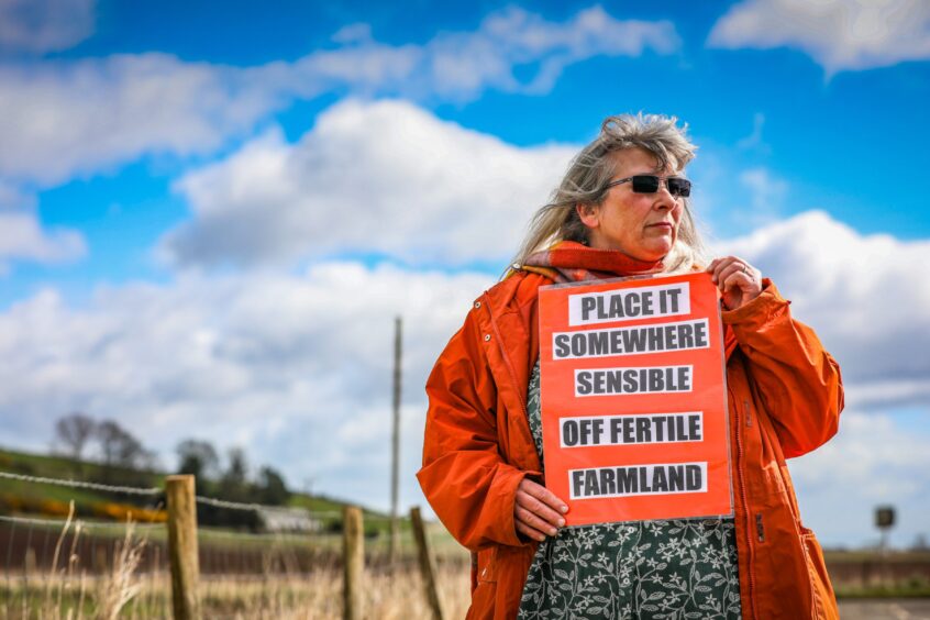 Lownie solar farm campaigner Pam Hamilton.