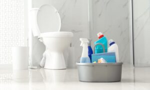 Faeces had not been cleaned in the bathroom. Image: Shutterstock